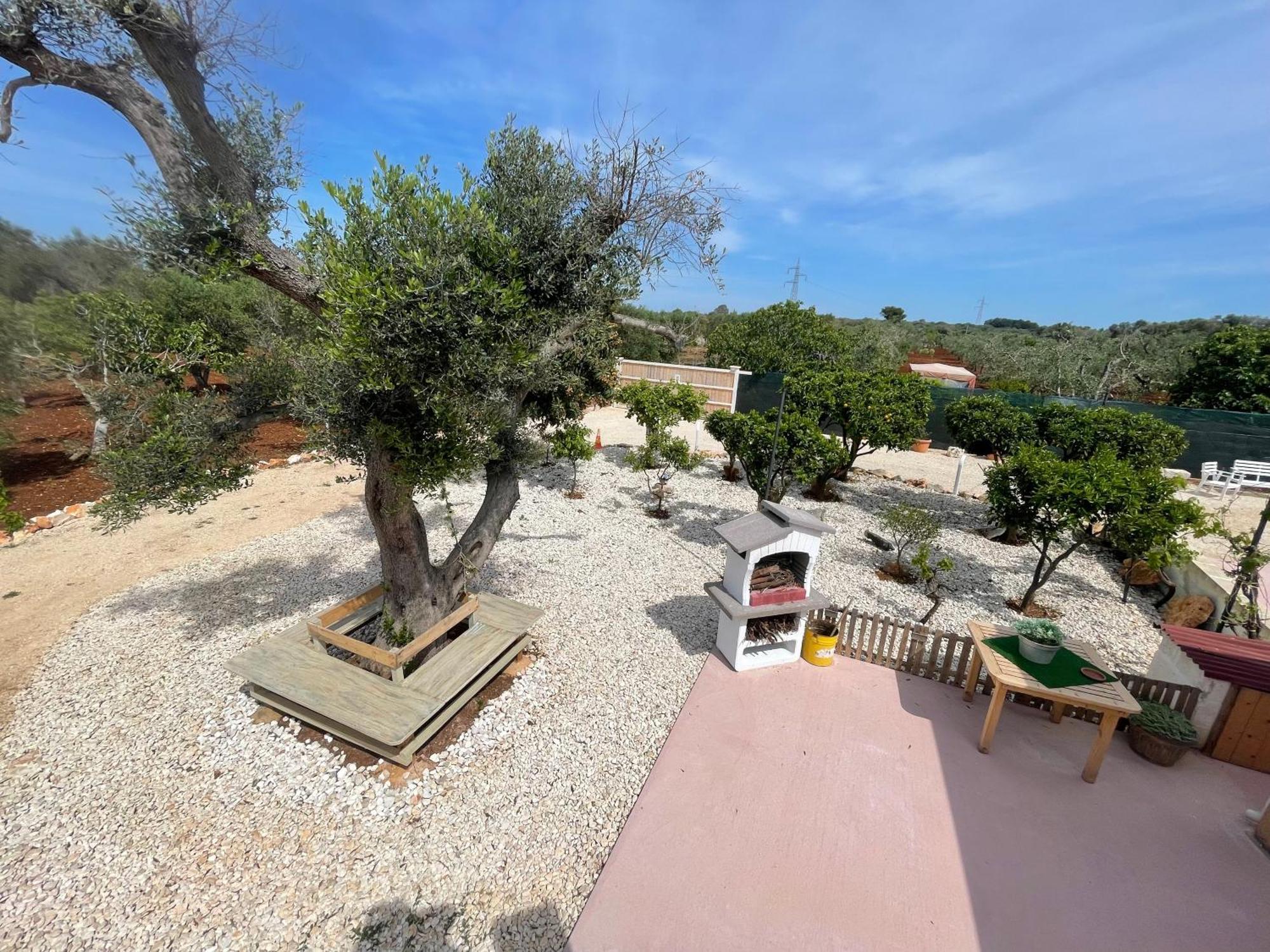 Вилла Trullo Del Salento Сан-Вито-деи- Норманни Экстерьер фото